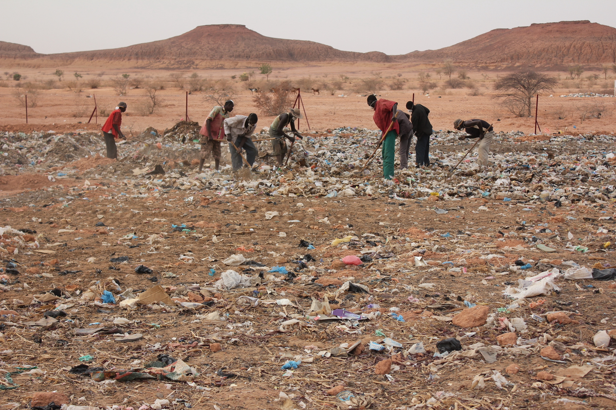 西アフリカ・サヘル地域ニジェール共和国における都市の家庭ゴミを利用 